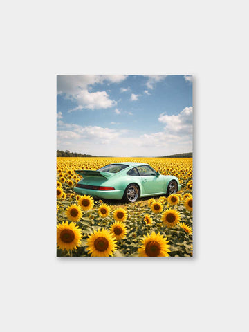 “Chasing Sunshine” – Freedom Drive Canvas